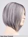DUA MONO PART - riga centrale, attaccatura naturale - Wig Love - Parrucca SinteticaDark Grey Frosted